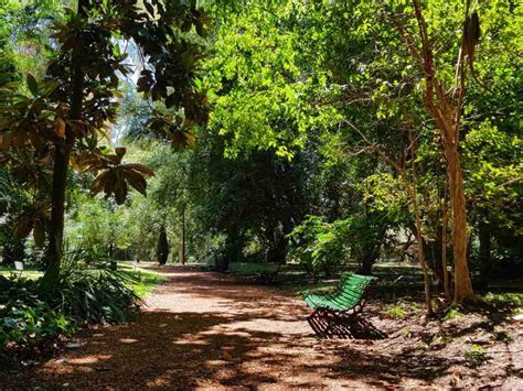 Le Jardin Botanique de Bristol: Une Oasis verdoyante au cœur vibrante de la ville !