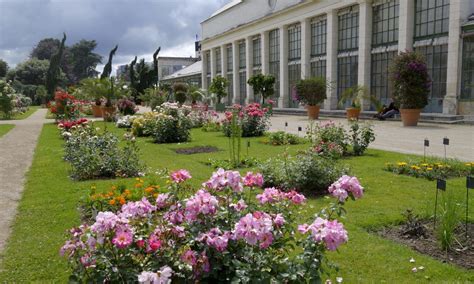 Le Jardin des Plantes d'Orléans: Un havre de paix botanique et une ode à la biodiversité !