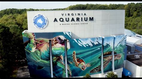 Le Virginia Aquarium & Marine Science Center: Une Oasis Aquatique Pleine de Merveilles!